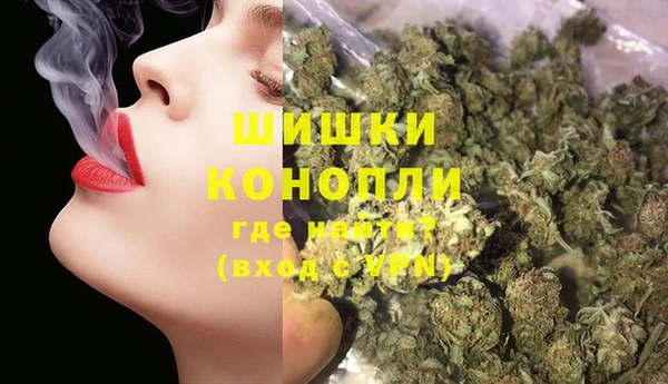 прущий лед Пересвет