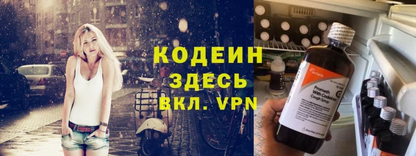 прущий лед Пересвет